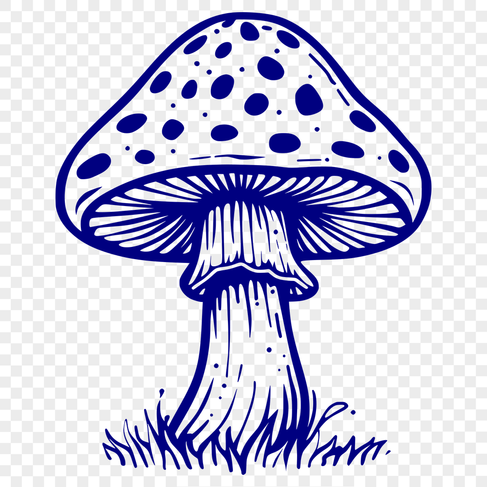 Beautiful Mushroom PDF