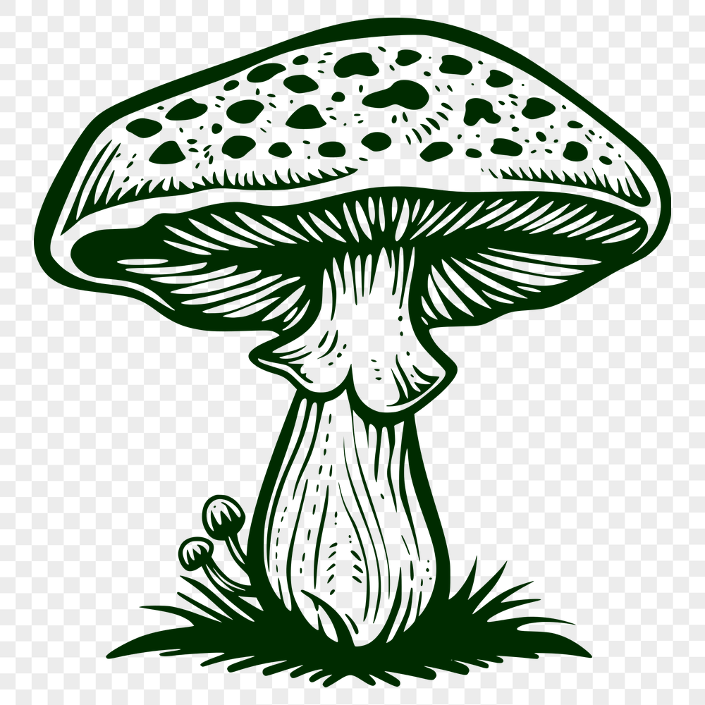 Creative Mushroom Drawing