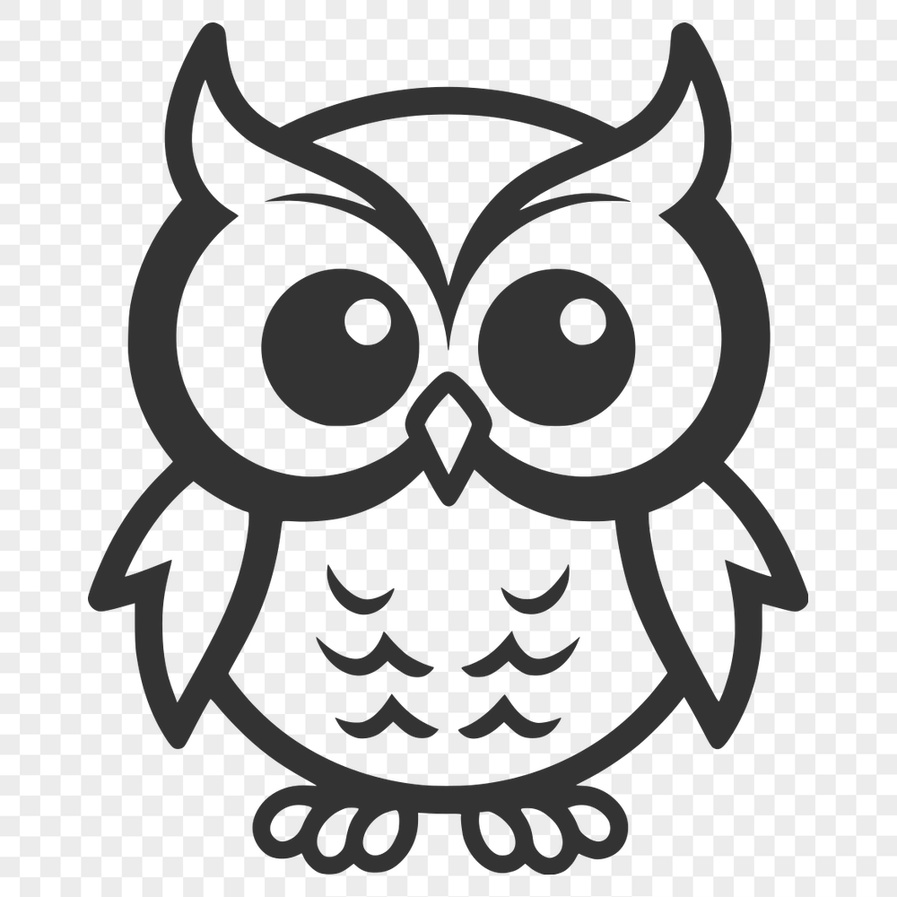 Unique Owl Artwork