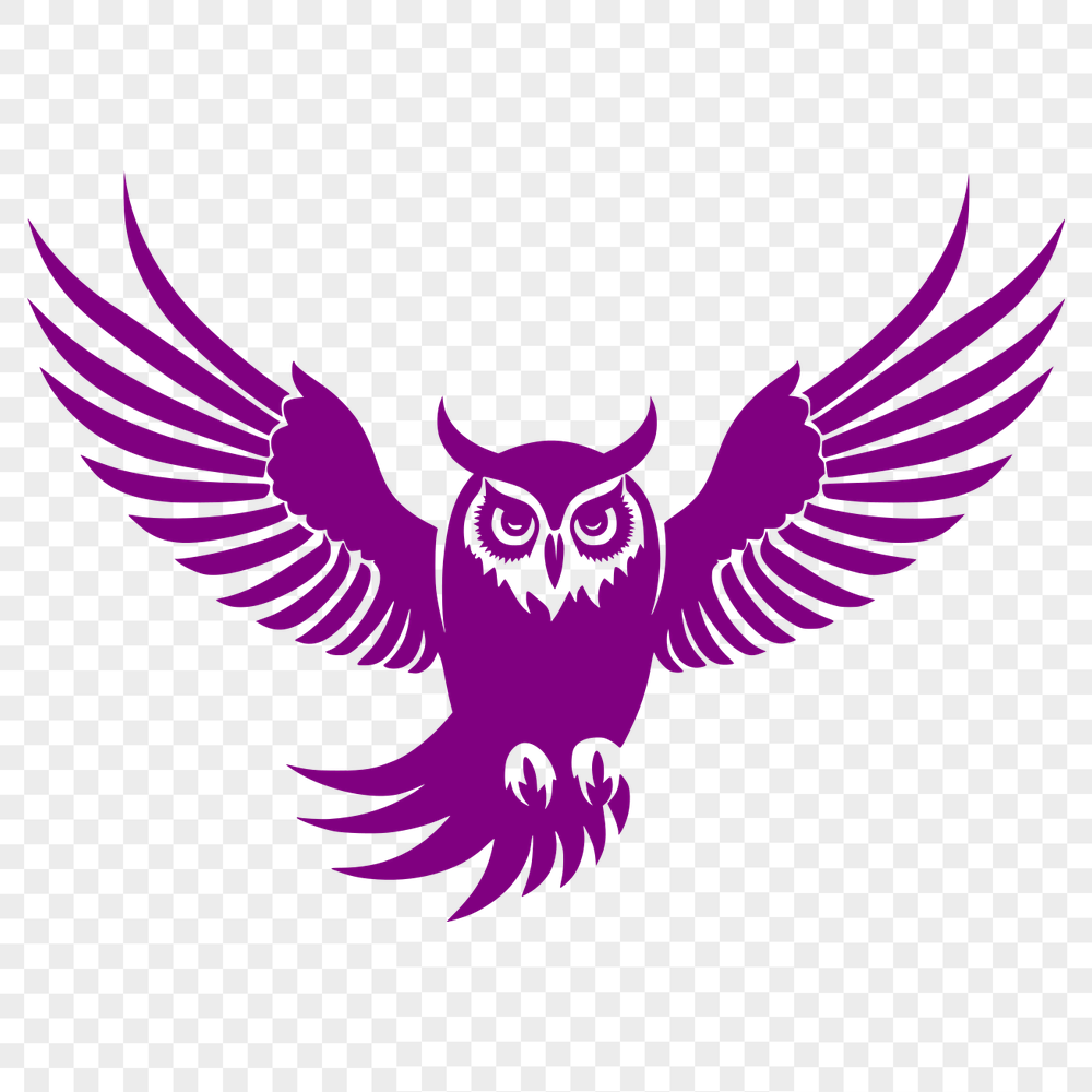 Artistic Flying Owl Artwork