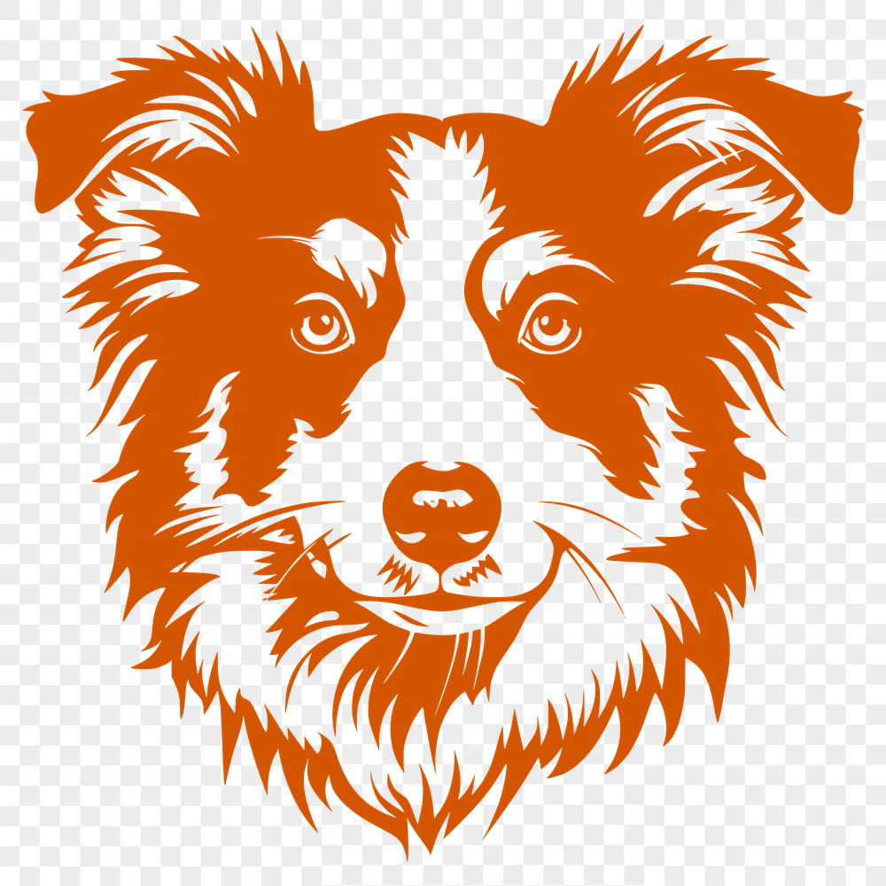 Free Australian Shepherd PNG