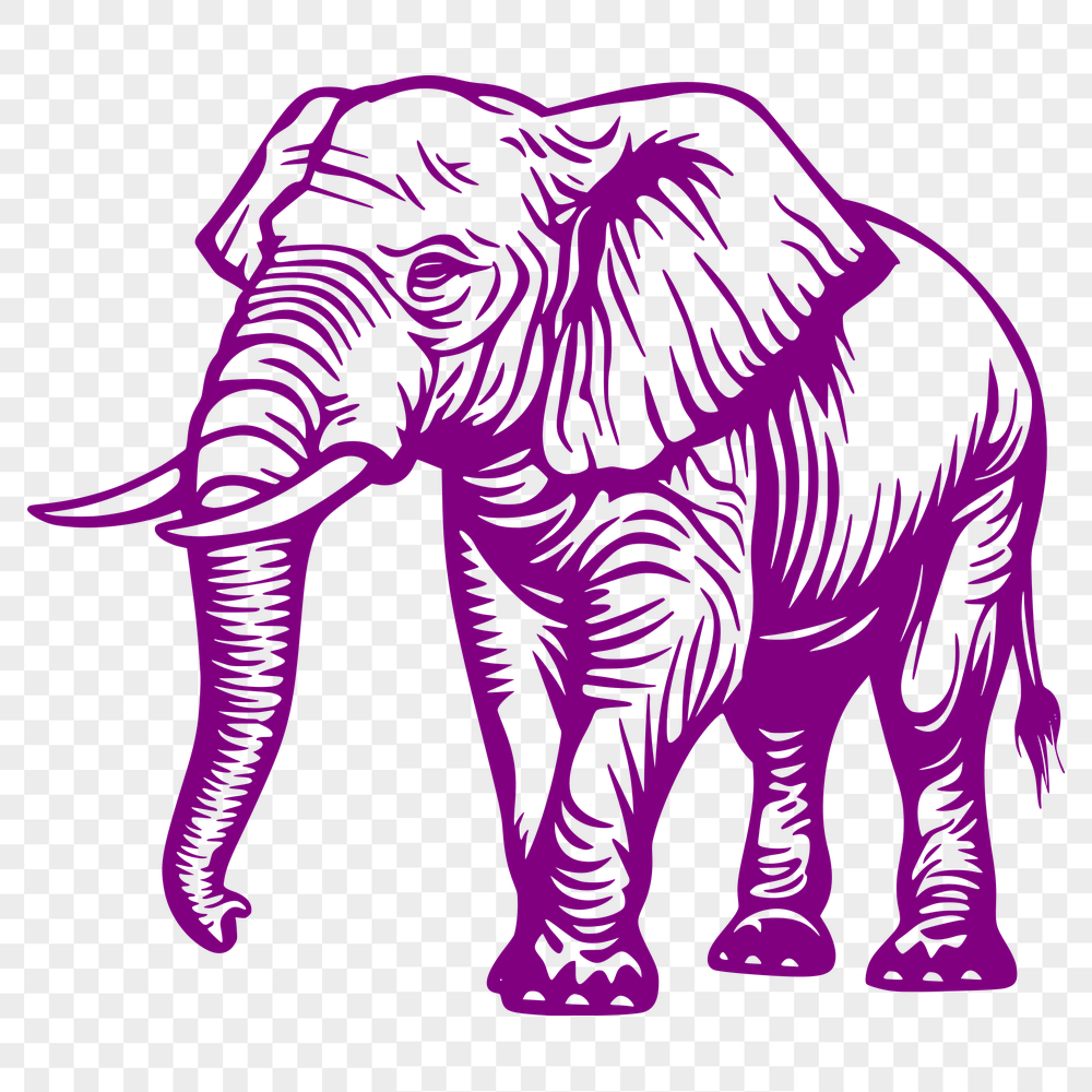 Beautiful Standing Elephant Illustration