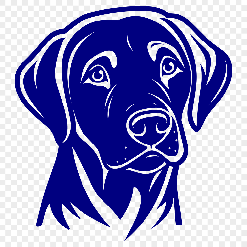 Beautiful Labrador Retriever - For Glowforge Project