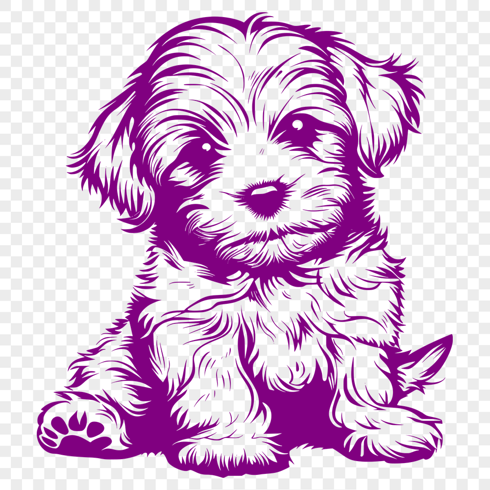 Creative Sitting Havanese PDF