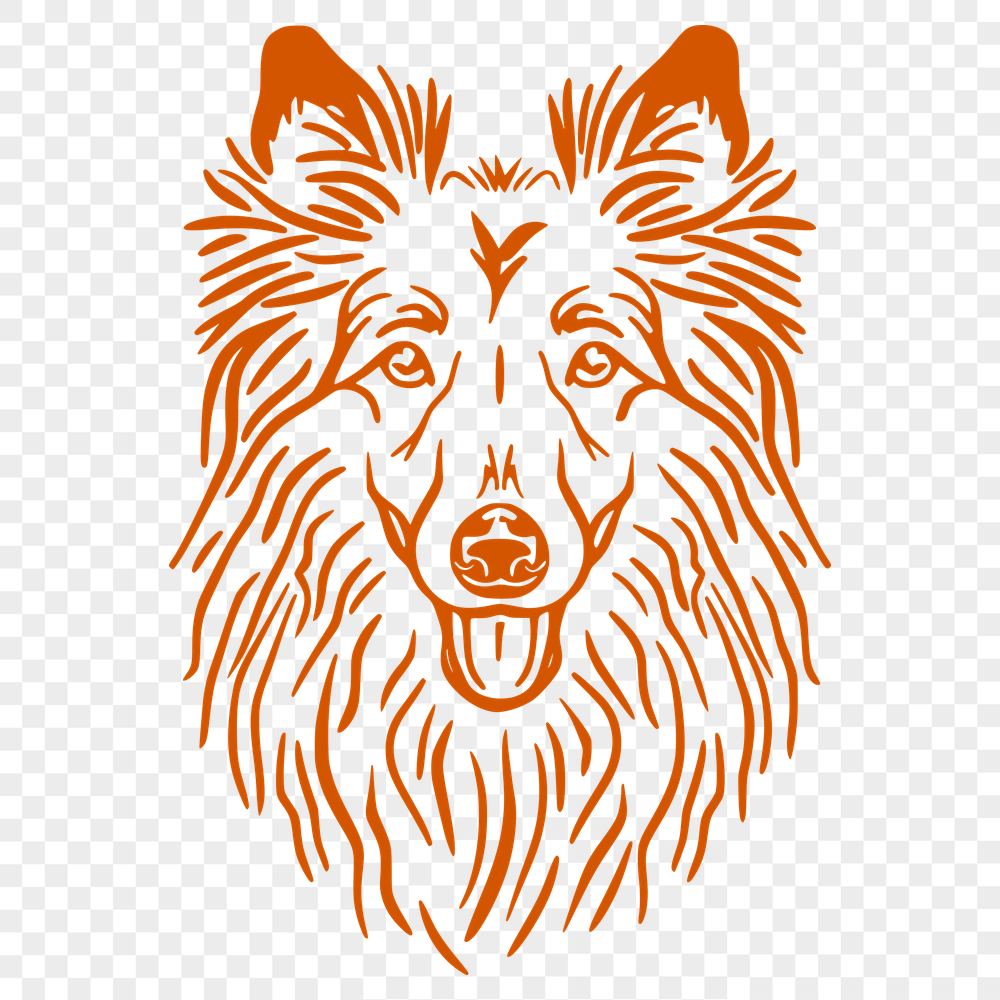 Stunning Shetland Sheepdog Vector Illustration