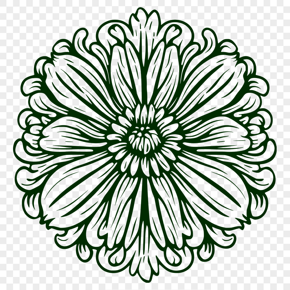 Unique Flower Vector Drawing