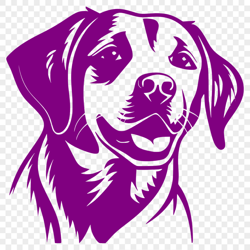 Stunning Labrador Retriever - For Glowforge Project