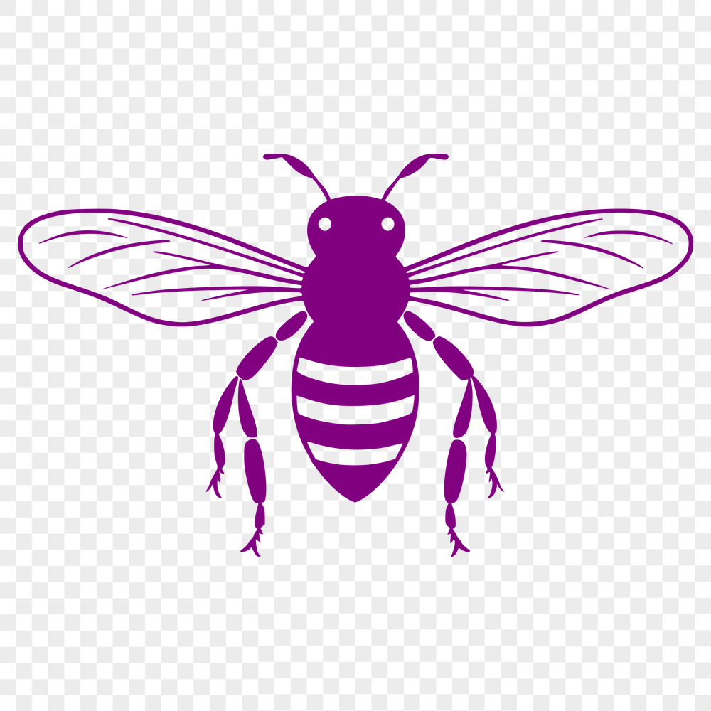 Free Bee Template