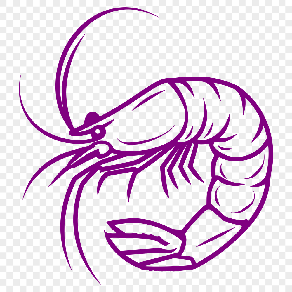 Unique Shrimp - For Cricut Project