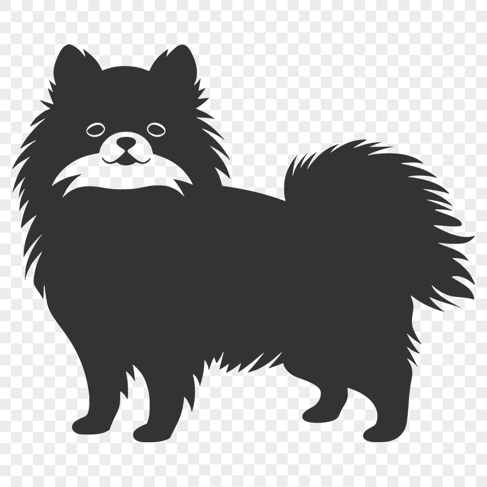 Standing Pomeranian Vector Illustration