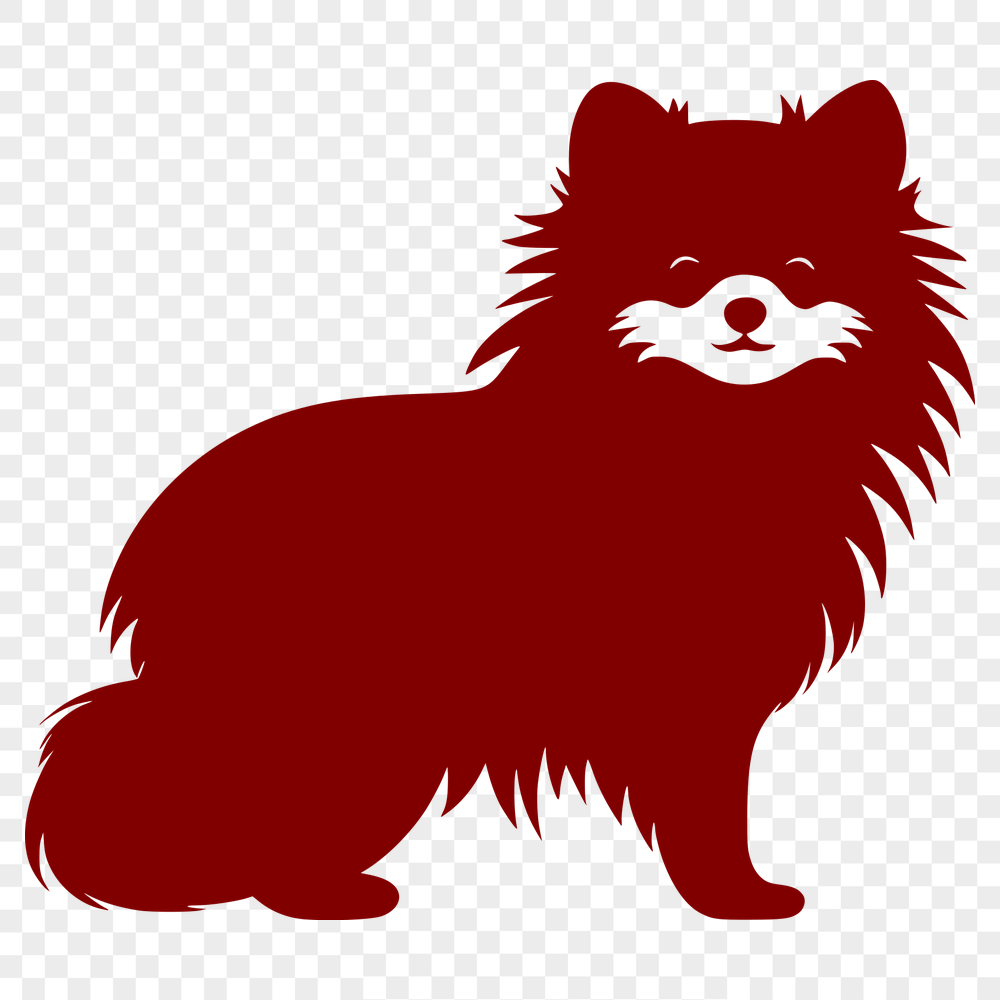 Unique Pomeranian Vector Image