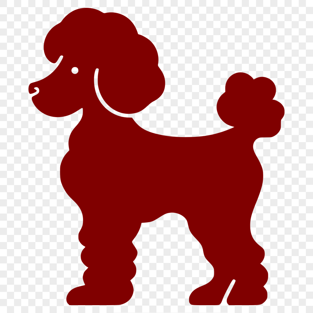 Standing Poodle Image