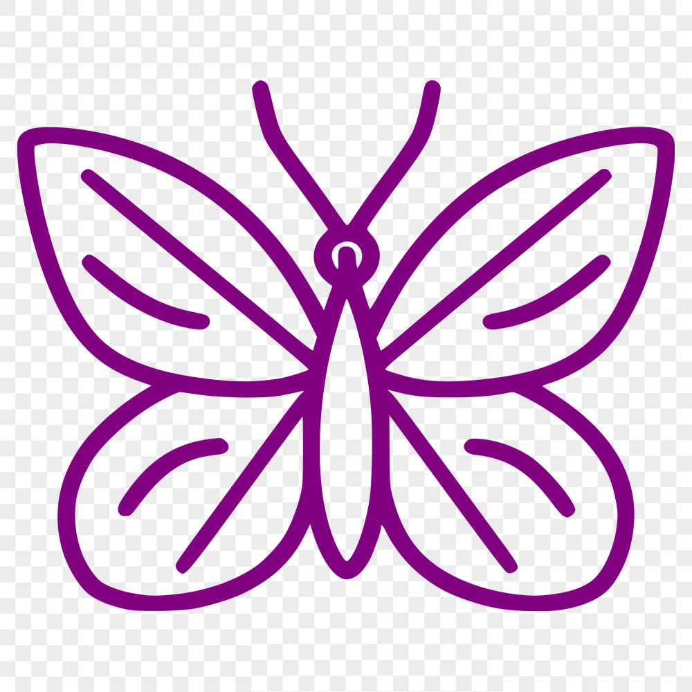 Free Insect PNG