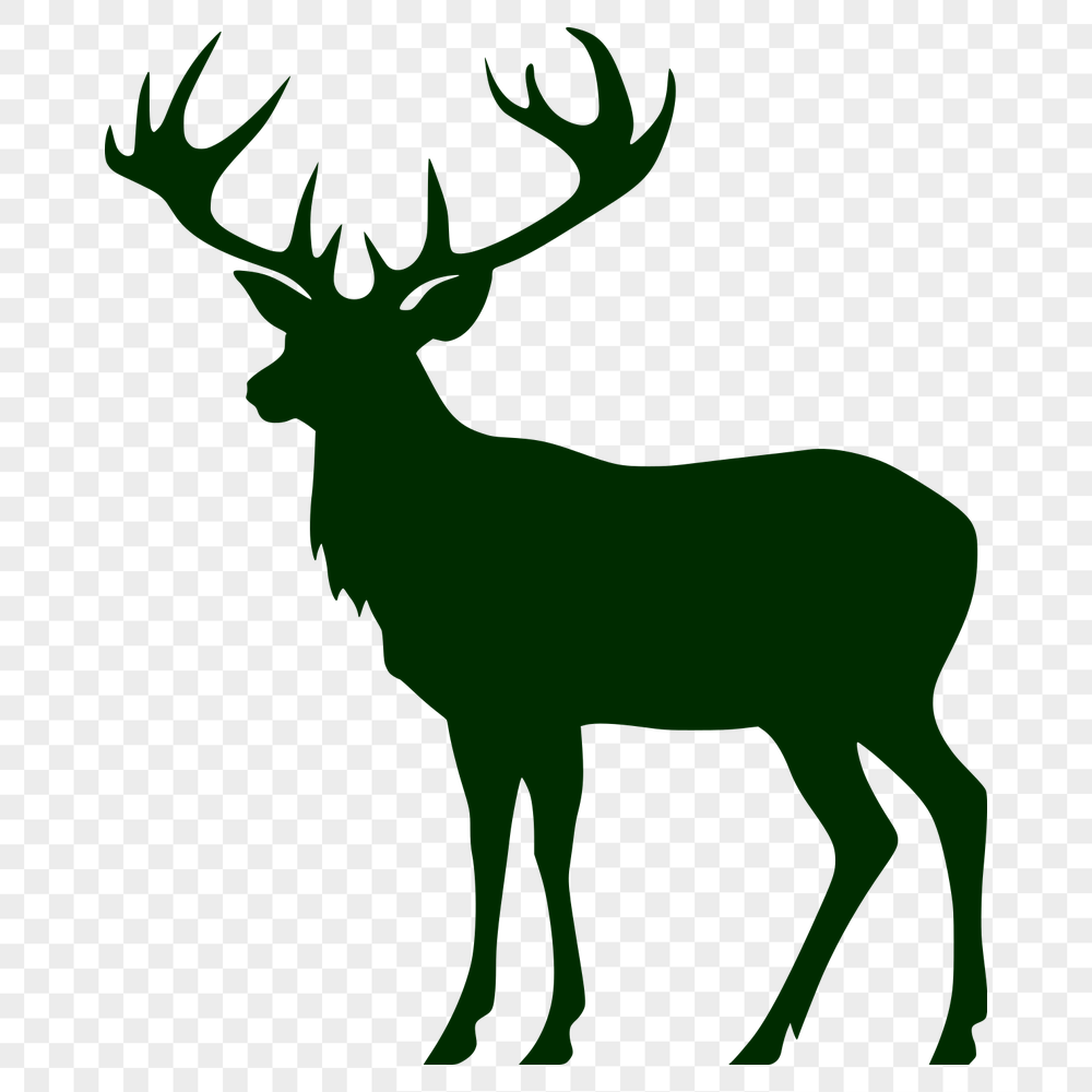 Free Deer Drawing