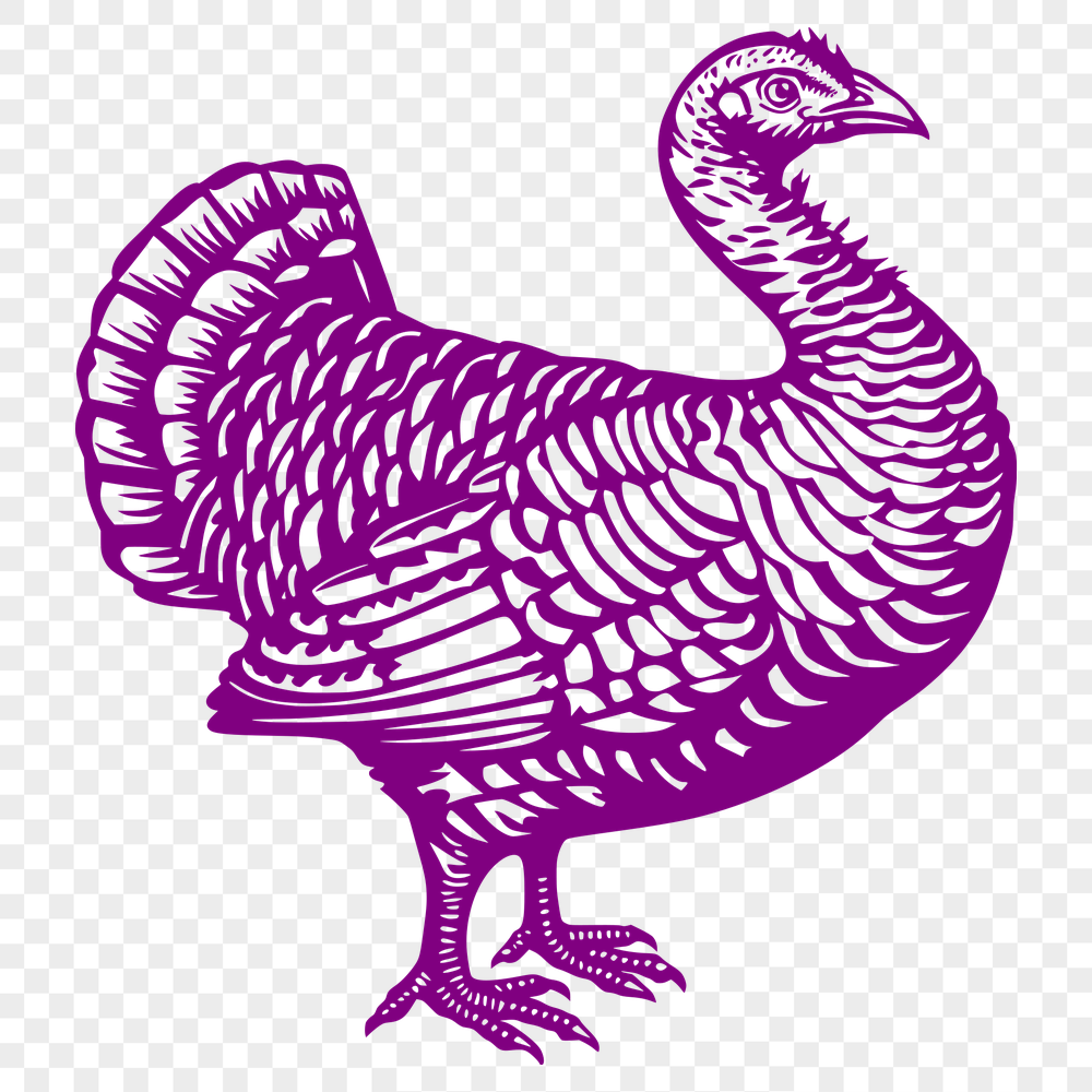 Free Creative Turkey Decal