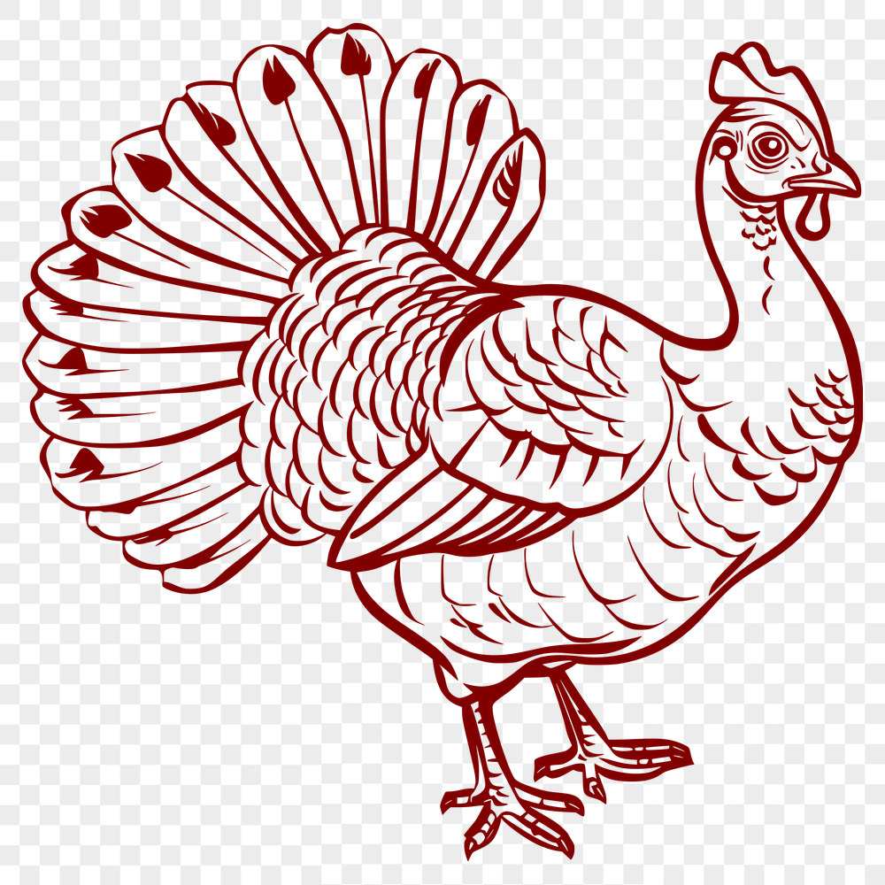 Free Turkey - Glowforge SVG