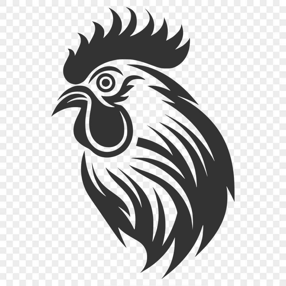 Unique Cockerel Drawing