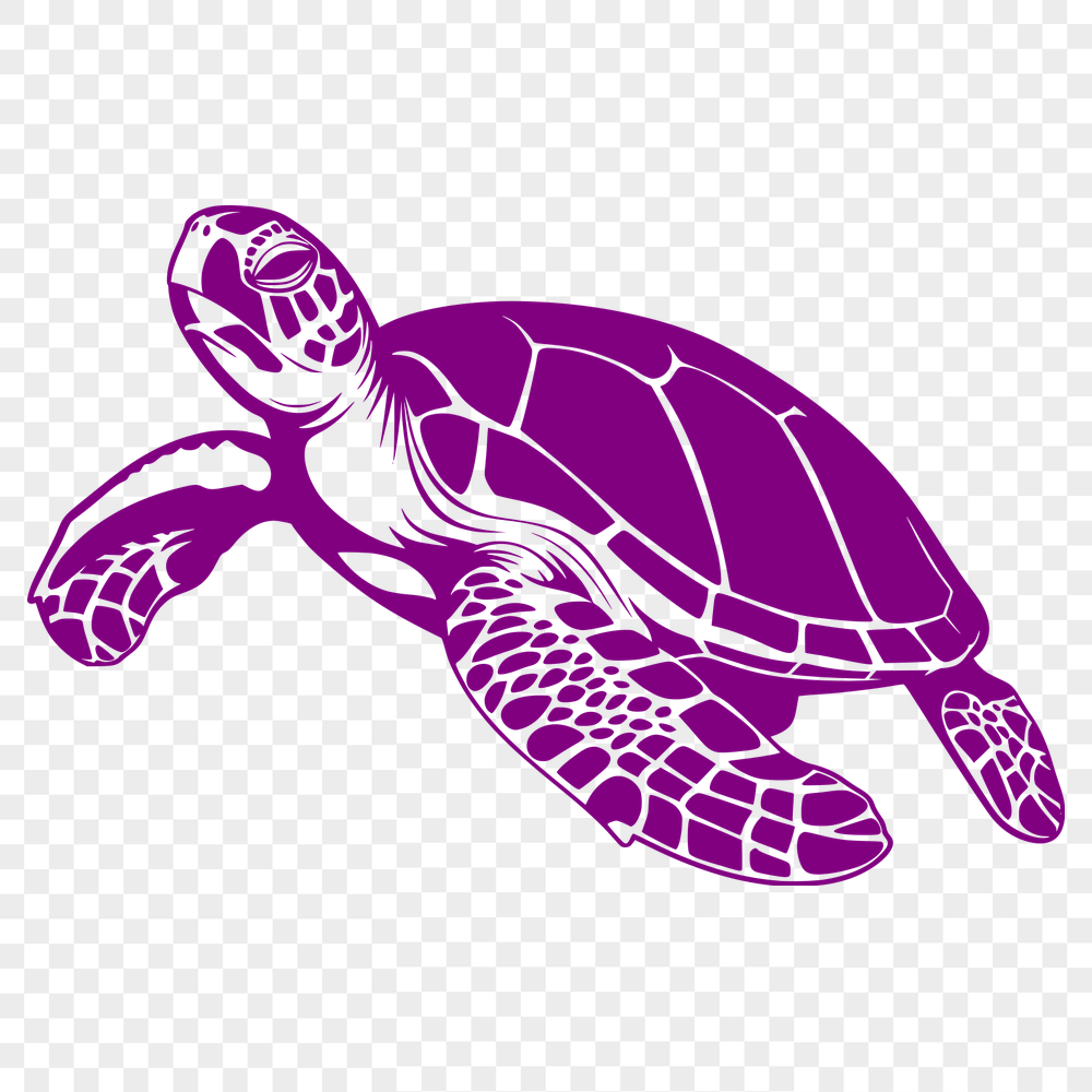 Unique Sea Turtle Vector Illustration