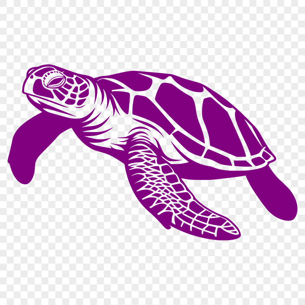 Unique Sea Turtle Decal