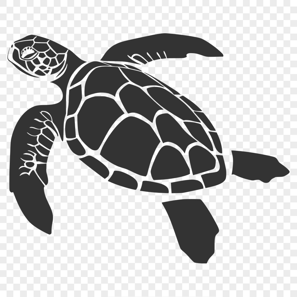 Unique Sea Turtle - For Glowforge Project