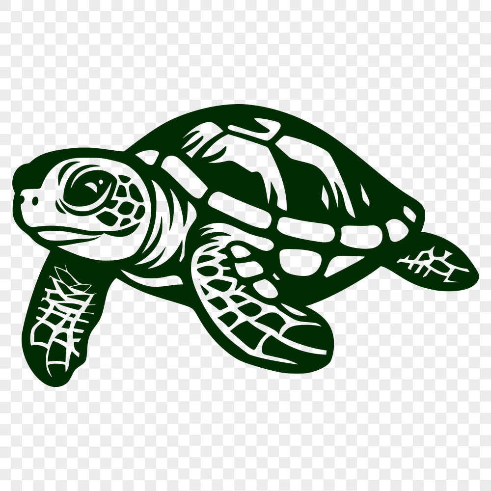 Free Creative Sea Turtle Template