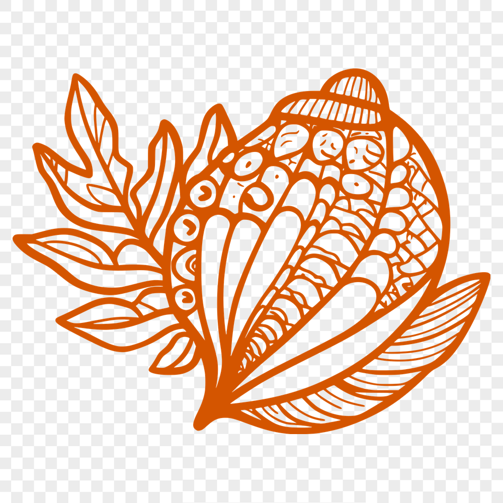 Unique Seashell In SVG - For Free Download, Commercial Use