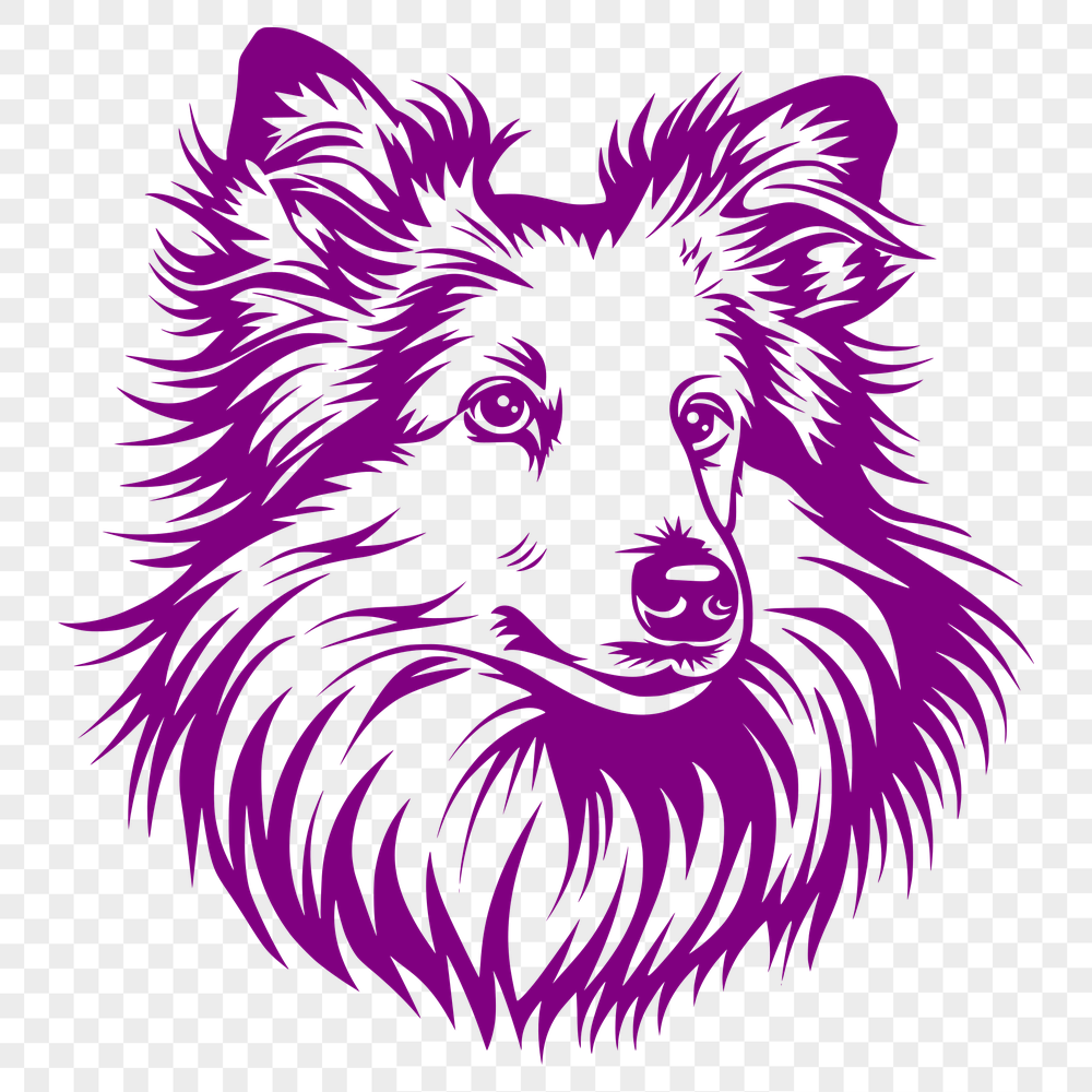 Free Artistic Shetland Sheepdog Vector Drawing