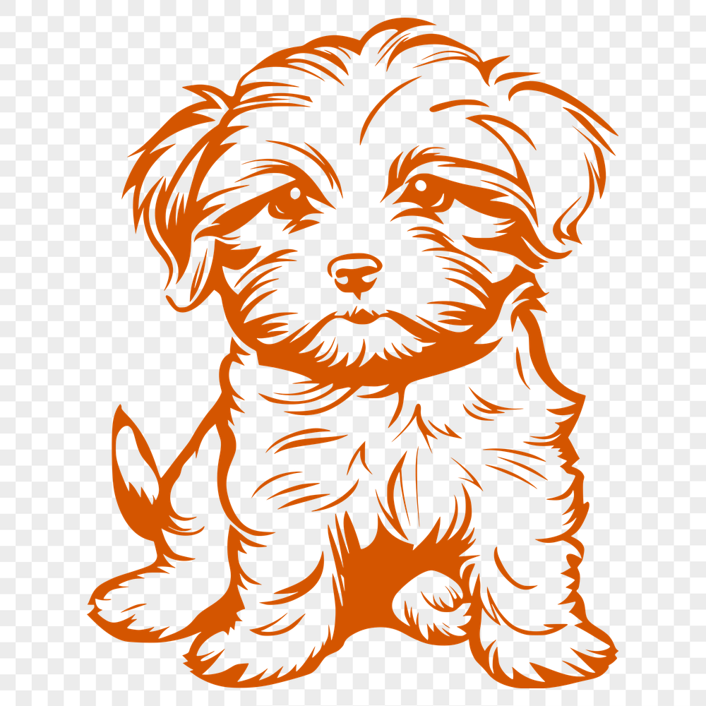 Sitting Havanese Digital Drawing