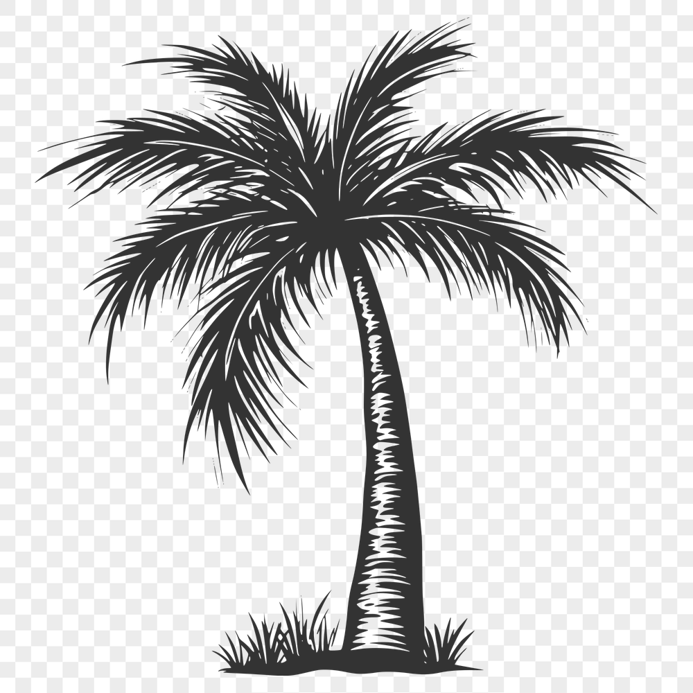 Unique Palm Tree SVGs - Free Download