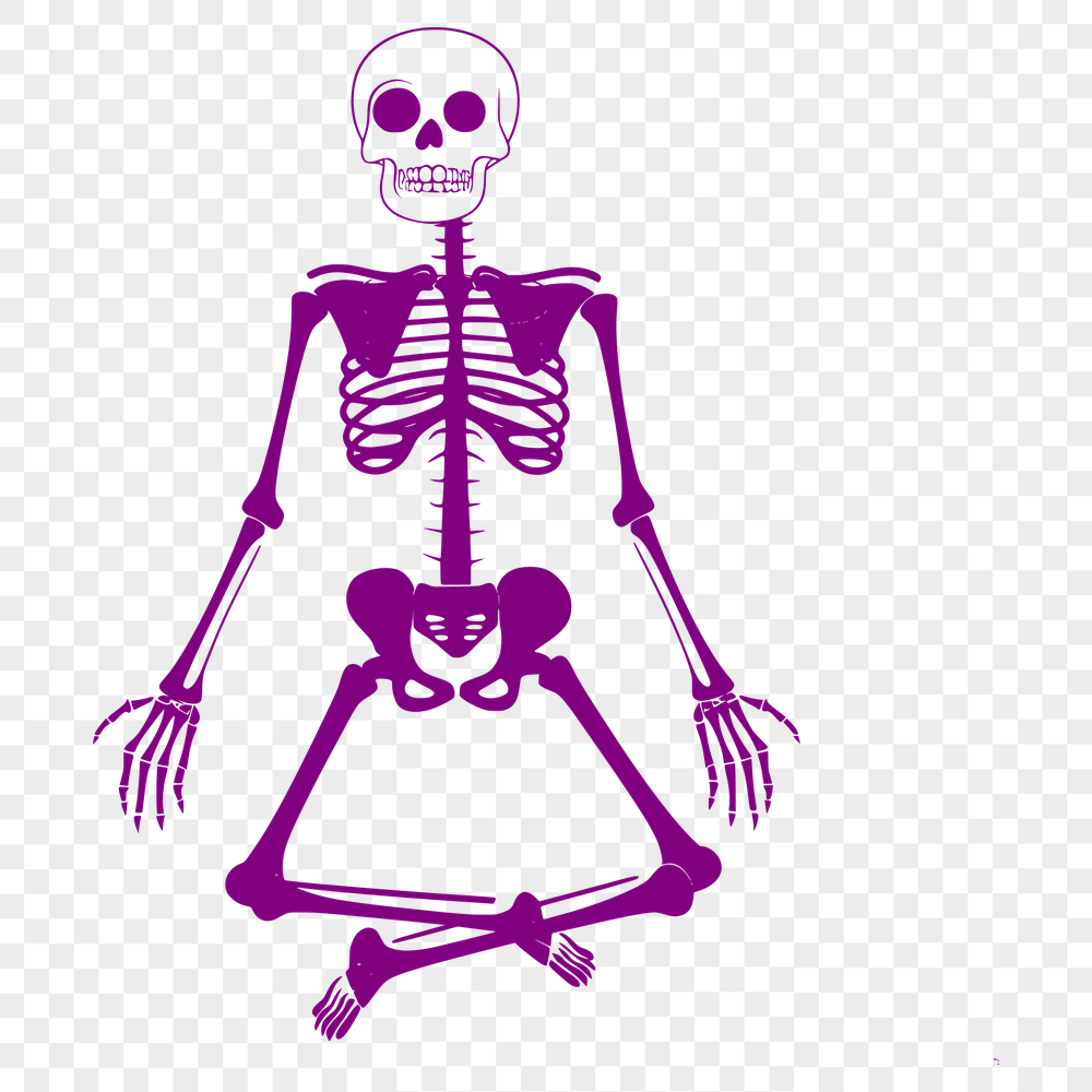 Free Skeleton Vector Craft File - Free PNG Download