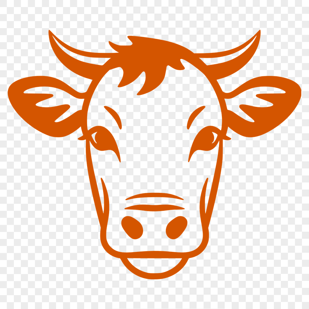 Creative Cow Illustration