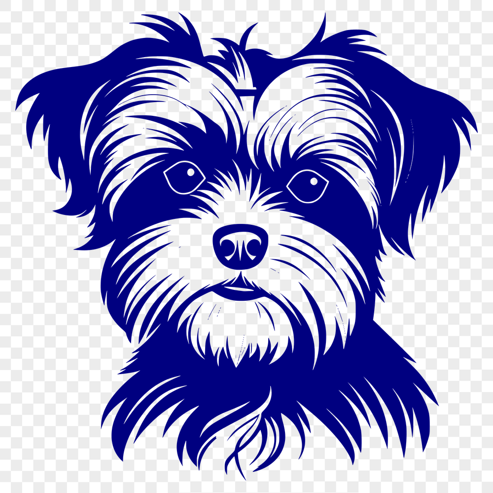 Free Morkie PNG