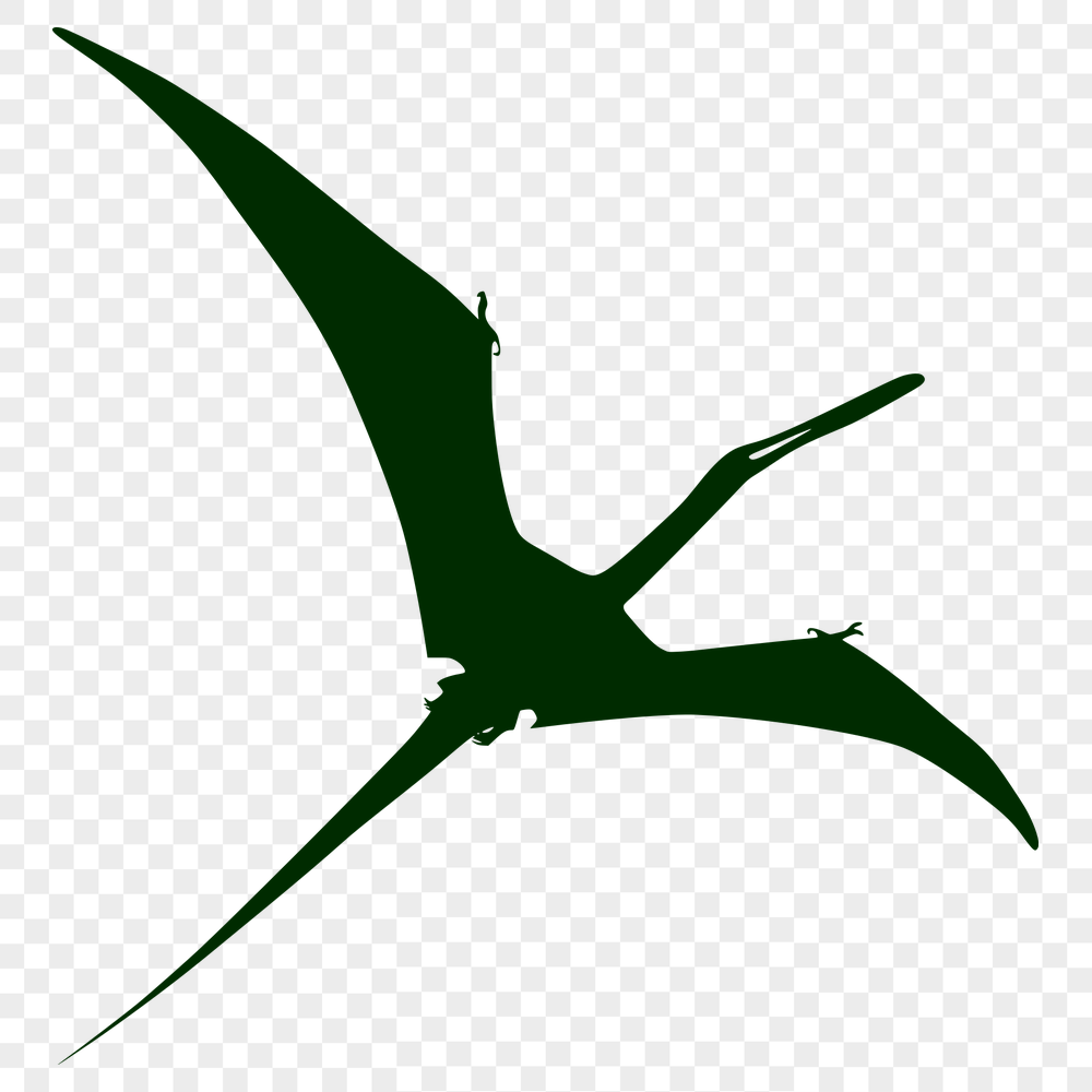 Free Unique Pteranodon Artwork