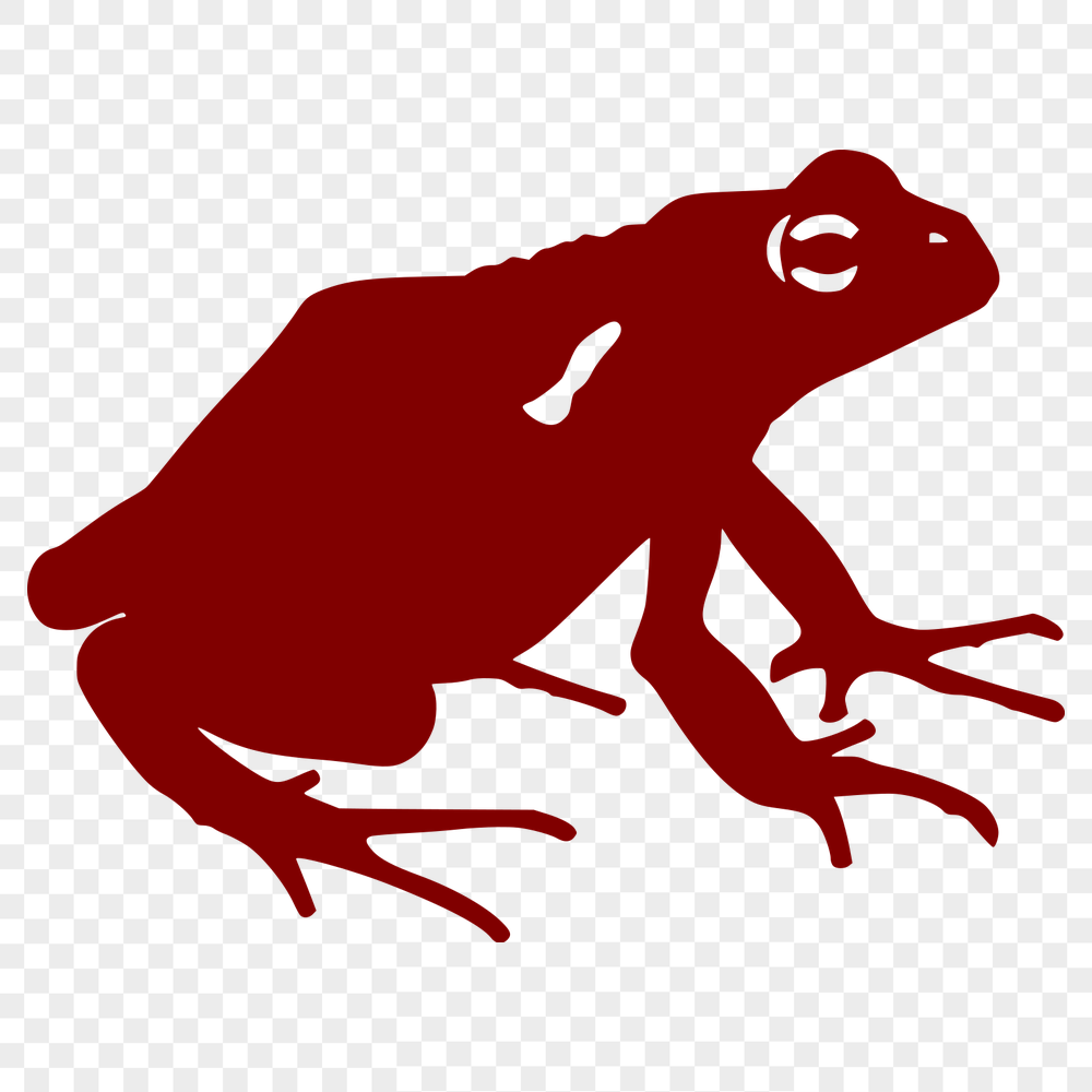 Toad In SVG, PNG, PDF And DXF Formats