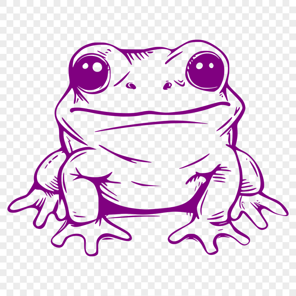 Beautiful Toad Vector Art