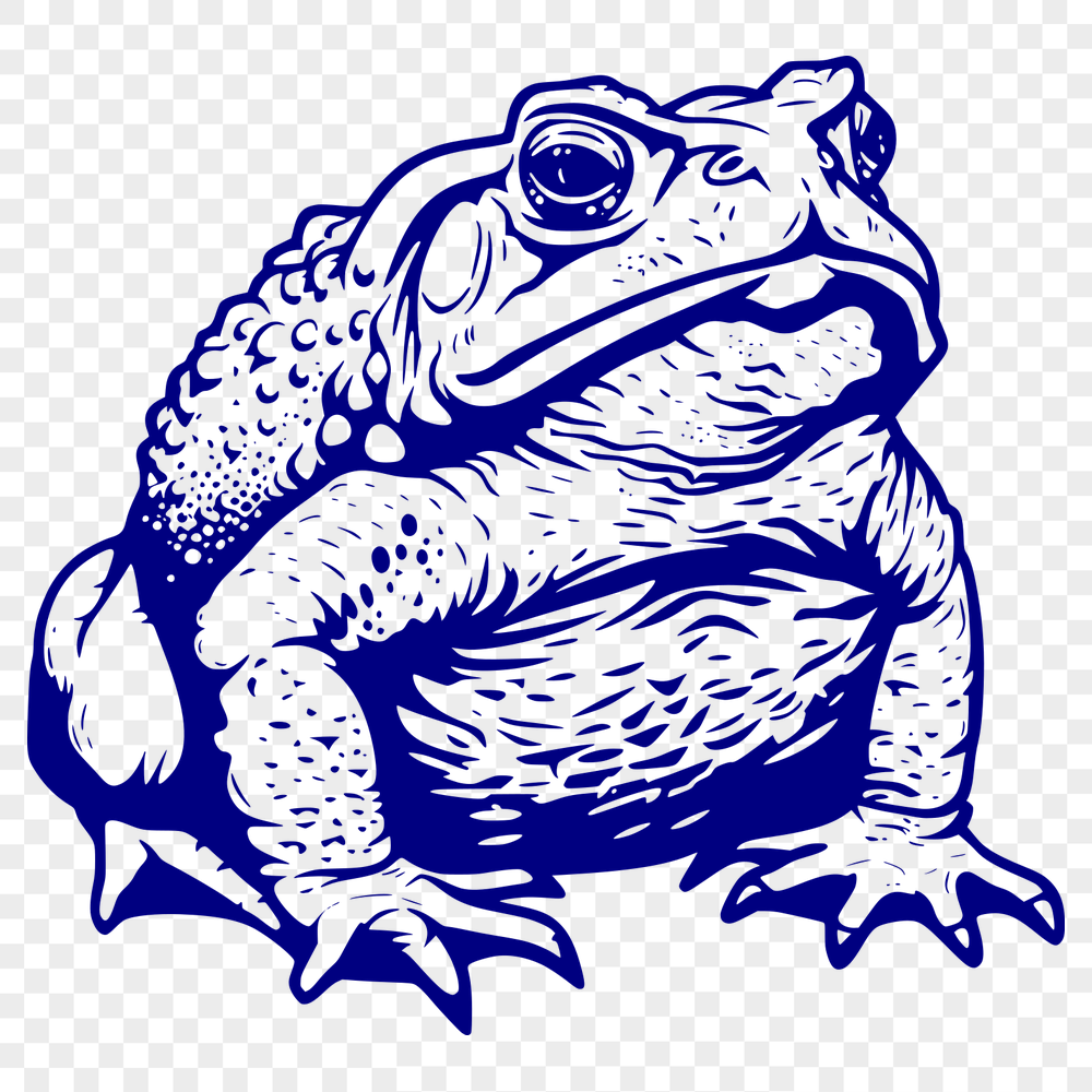 Artistic Toad In PDF