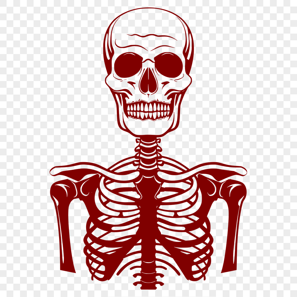 Skeleton In PDF For Download, Free Commercial Use