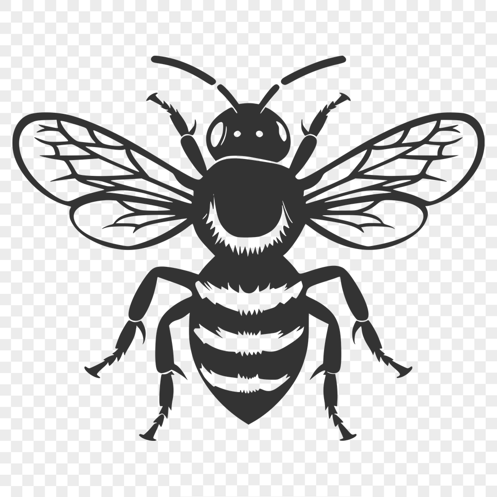 Stunning Bee Vector Illustration