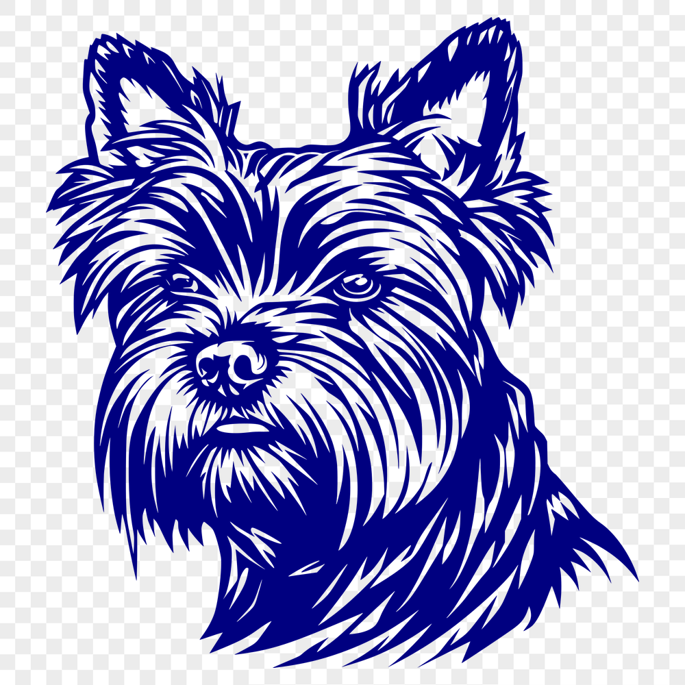 Free Yorkshire Terrier - For Pet Project