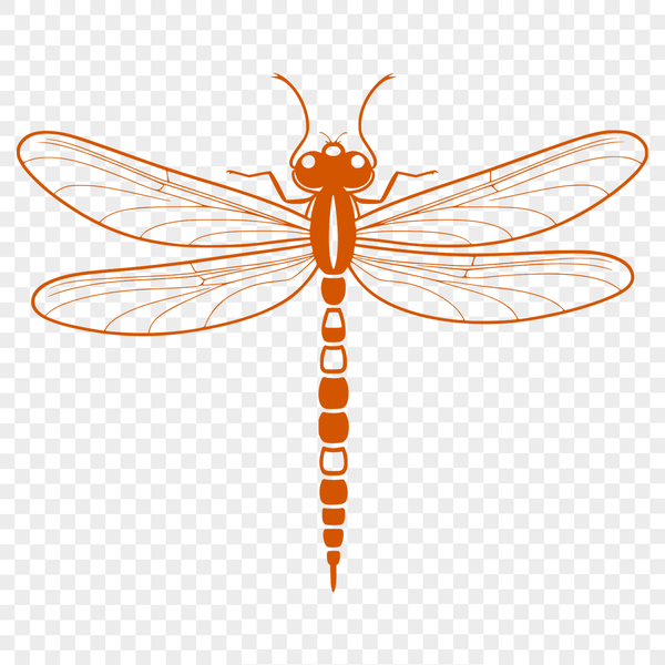 Customizable Dragonfly SVG Image A colorful dragonfly with transparent wings for easy customization in vector art designs.