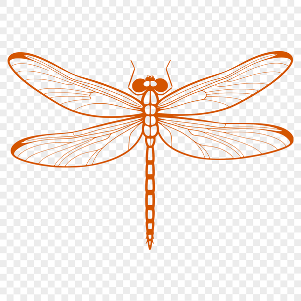 A detailed illustration of a dragonfly with iridescent wings.