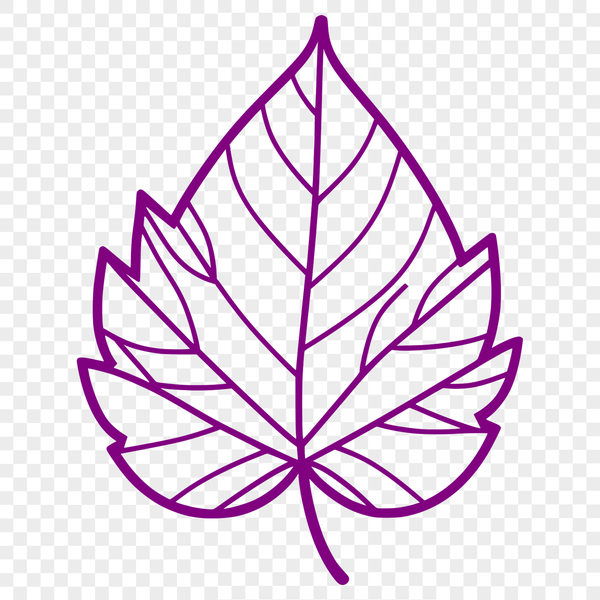Intricate Green Leaf SVG A stylized illustration of a single leaf with intricate details, suitable for digital and printable designs.