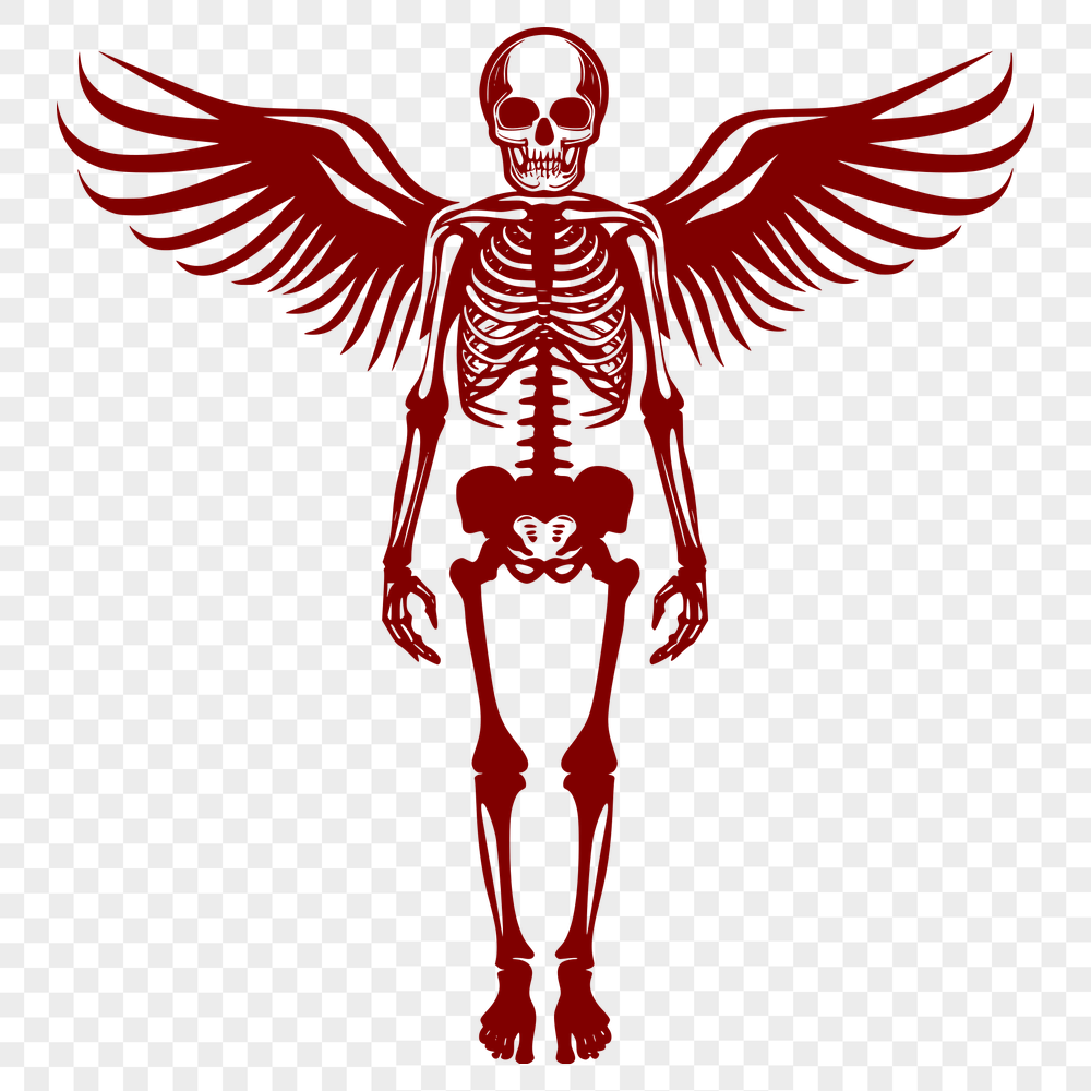 Unique Skeleton Image PDF - Free Download