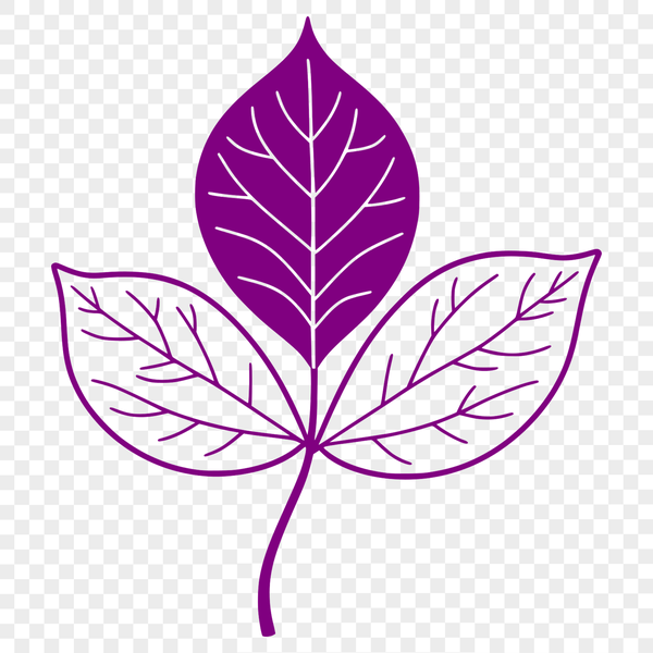 Detailed Leaf Illustration in Vector Format A detailed illustration of a leaf in vector format.