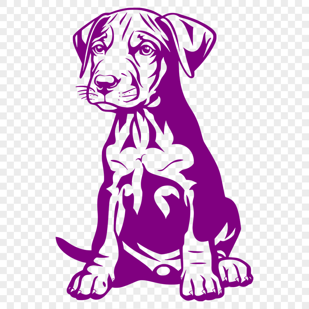 Cute Sitting Doberman Pinscher Digital Artwork