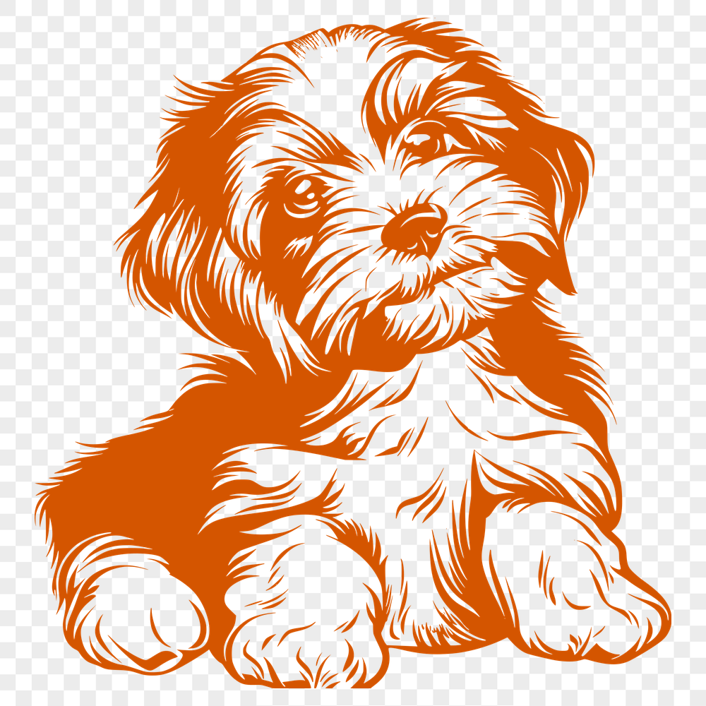 Beautiful Sitting Havanese Digital Art