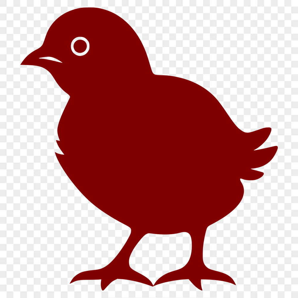 Unique Chick SVG, PNG, PDF And DXF Files