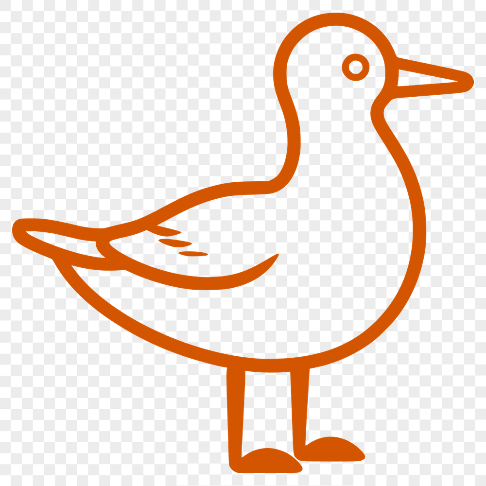 Free Sea Gull SVG, PNG, PDF And DXF Files