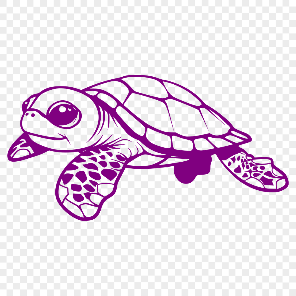 Beautiful Sea Turtle Design