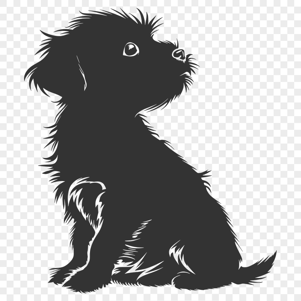 Beautiful Sitting Havanese Artwork